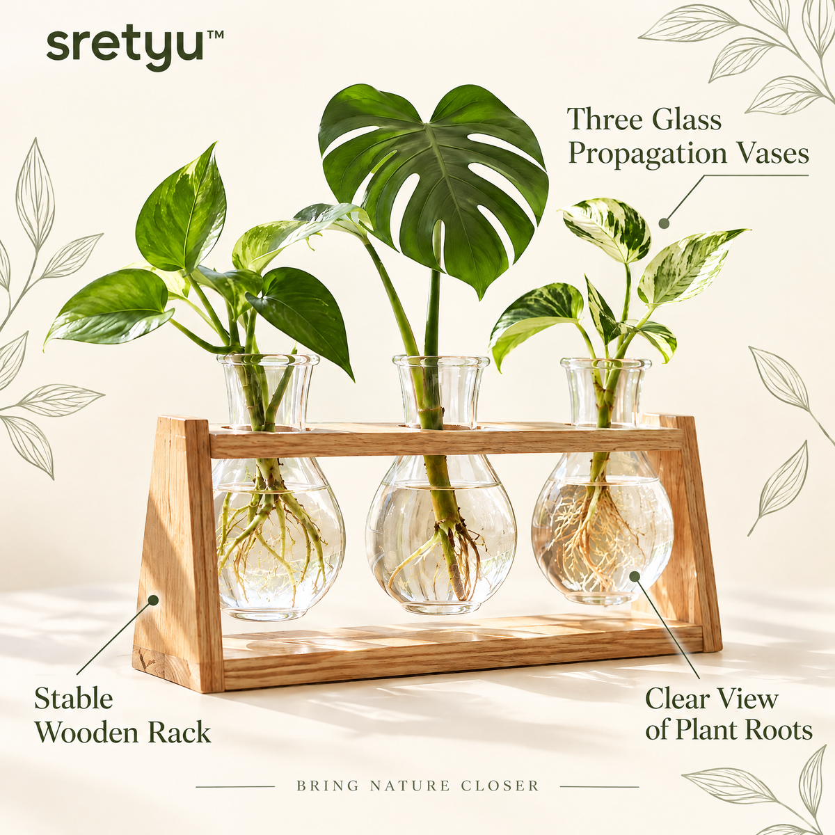 sretyu glass propagation rack feature graphic showing wooden stand and clear vases